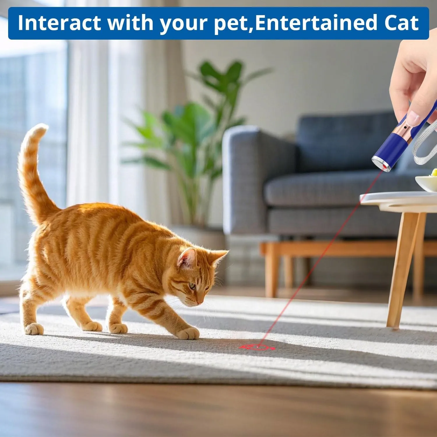 TBTeek Cat Toys for Indoor Cats, 2 Pieces, Rechargeable, 7 Adjustable Patterns, Interactive Kitten Pet Dog Red Dot Chase Light Toy for Cats Fun Playing ExerciseBlue